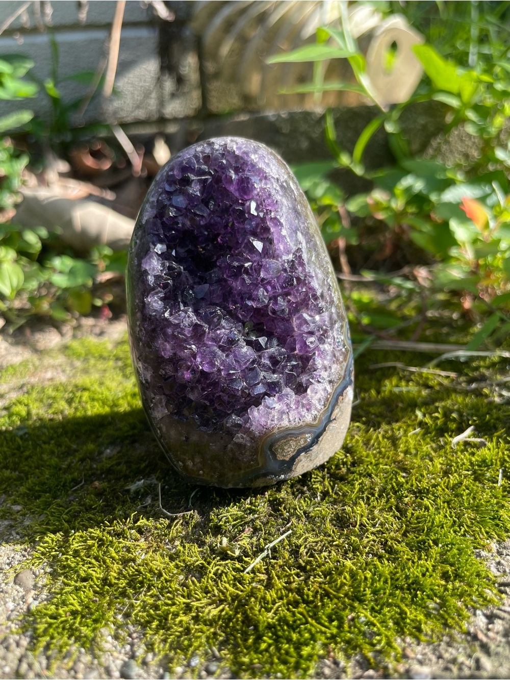 Amethyst Crystal Geode Decorative Accent - Purple
